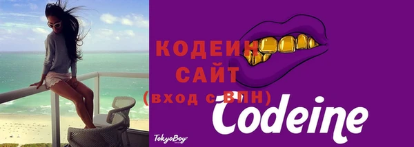 индика Куйбышев