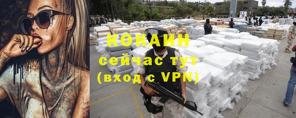 индика Куйбышев