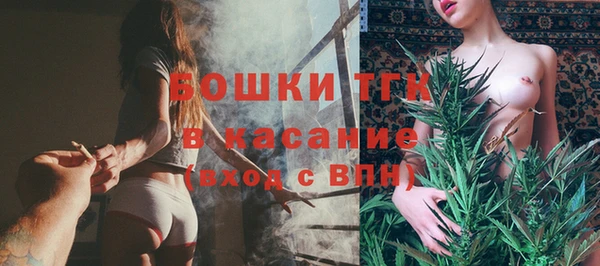 индика Куйбышев