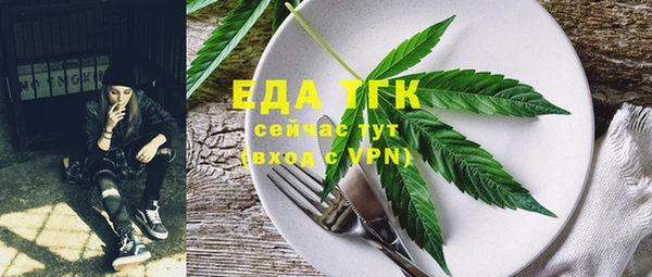 индика Куйбышев