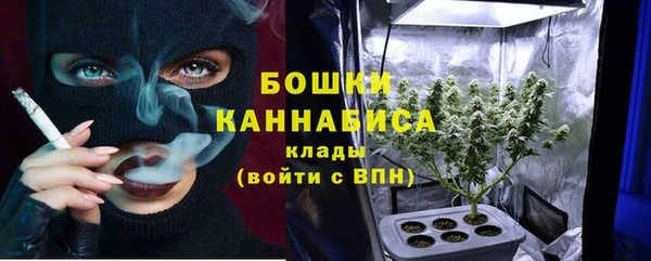 индика Куйбышев