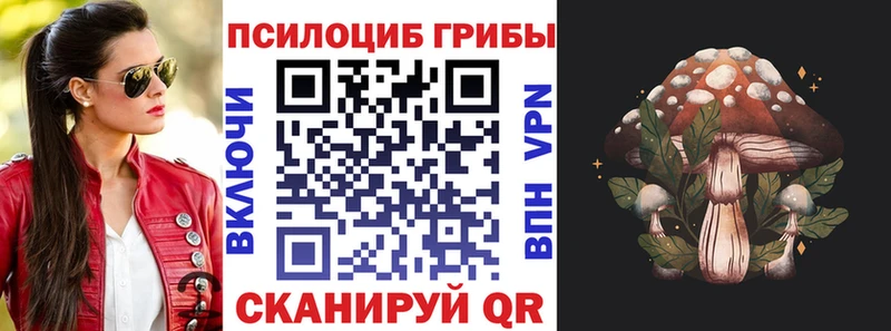 Псилоцибиновые грибы Psilocybine cubensis  как найти наркотики  Черепаново 